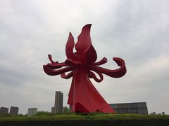 -曹州牡丹园