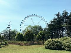 -宜兴龙背山森林公园
