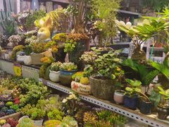 -三旗百汇商品城