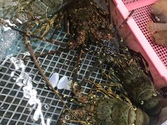 -霞涌市场海鲜摆卖区