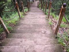 -陕西省红河谷森林公园