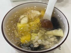 -凉凉海石花