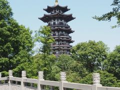 -洋湖国家湿地公园