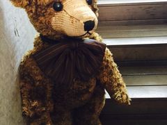 泰迪熊博物馆-济州岛泰迪熊博物馆