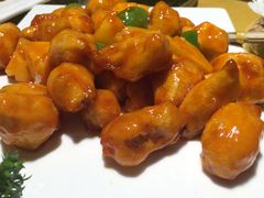 -素虎小呆鸟(西二旗店)