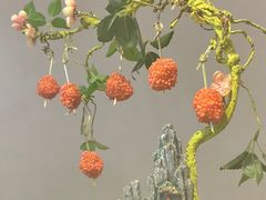 -故里和山·成都火锅(欢乐港湾店)