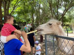 -长白岛森林公园