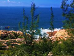 -广东惠东海龟国家级自然保护区