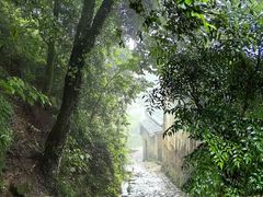 -杨家堂村