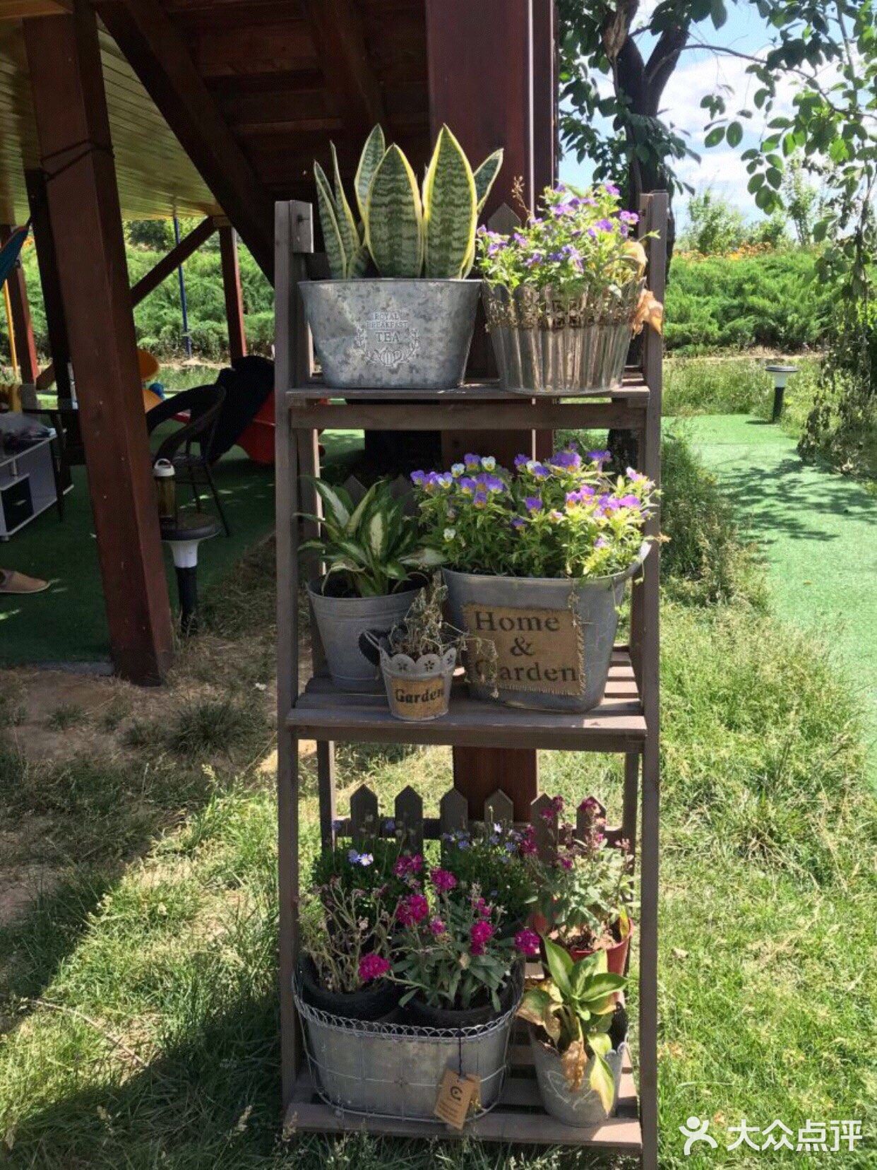 六一必打卡处[调皮]