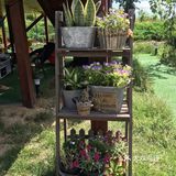 六一必打卡处[调皮]