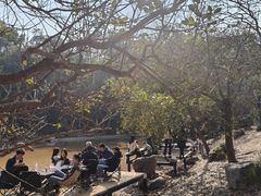 -大雁山风景区