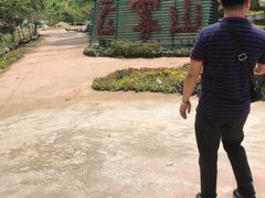 -木兰云雾山