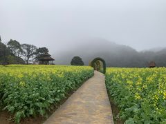 -广州市石门国家森林公园