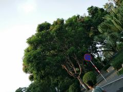 -仙岳公园