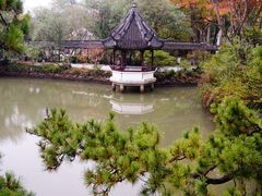 -上海醉白池公园