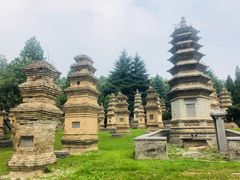 景点-少林寺景区