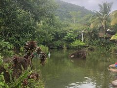 -呀诺达热带雨林