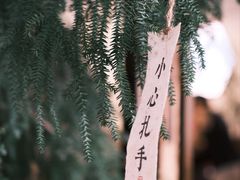 -成川茶店·潮汕工夫浓茶(万象店)