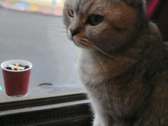 -不舍昼夜咖啡馆