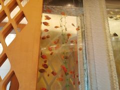 -Acqua海蓝意大利餐厅