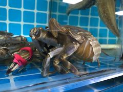 -兆辉木炭海鲜烧烤·海鲜小炒