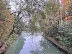 -同里国家湿地公园