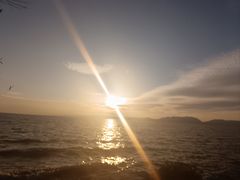 -呈贡滇池生态湿地公园