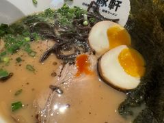 -一豚轩·烧鸟·豚骨拉面(五四路店)