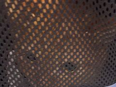 -瑞鹏宠物医院·微创内窥镜·骨外科·牙科(翠竹分院)