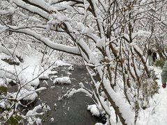 -浙西天池景区