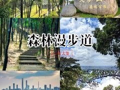 -火炉山森林公园