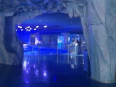 -上海海昌海洋公园-冰山北极馆