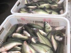 -济南海鲜大市场