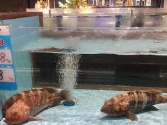 -阿伟海鲜楼·福建菜(延寿店)
