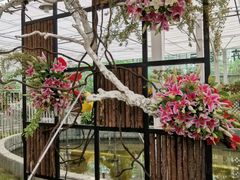 -上海鲜花港