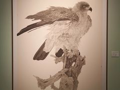 -江苏省美术馆(长江路新馆)