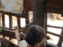 -长鹿旅游休博园