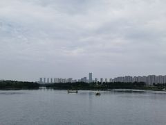 -洋湖国家湿地公园