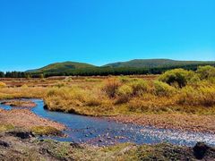 -塞罕坝国家级自然保护区