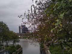 -海珠湖公园