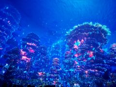 -海合安武汉极地海洋公园