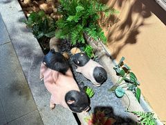 -老湘村·湖南土菜(天河维多利店)