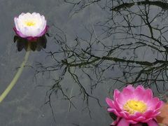 -云溪植物园