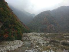 -青峰峡国家森林公园