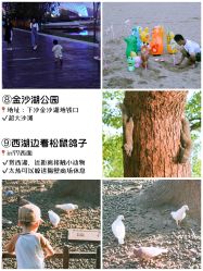 -酷嗒动物文化乐园(cutezoo西溪乐天城店)