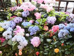 -稻花香土菜馆