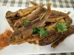 -烁佳海鲜大馅饺子