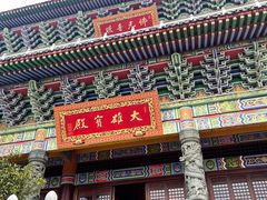 -铁山坪森林公园