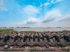 -上海滨江森林公园